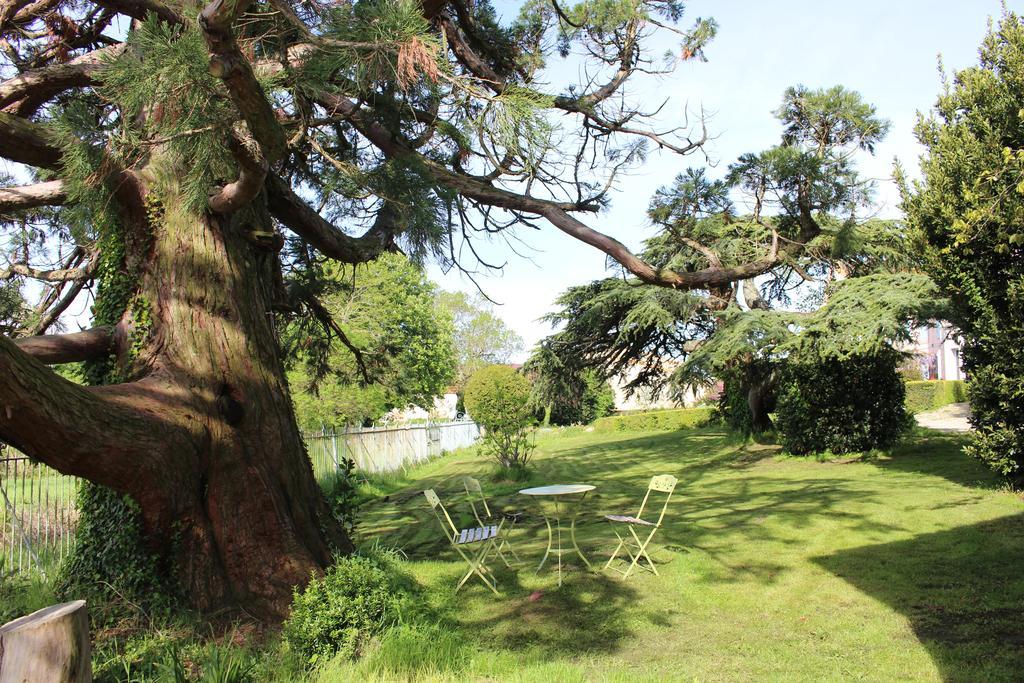 Chateau De Villeneuve - Montolieu Buitenkant foto